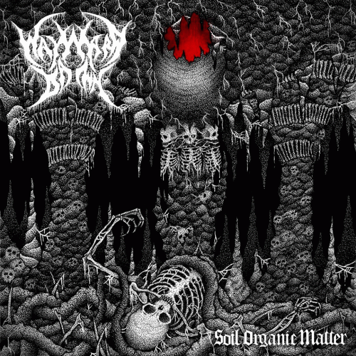  : Soil Organic Matter